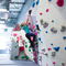 Innen-erwachsene Klettern-Wand-verschiedene kletternde Griffe Bouldering für Sportzentrum