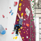 Innen-erwachsene Klettern-Wand-verschiedene kletternde Griffe Bouldering für Sportzentrum
